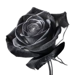 Imagen PNG para descargar